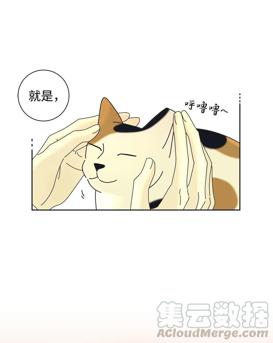 弄假成真02 老母亲的心