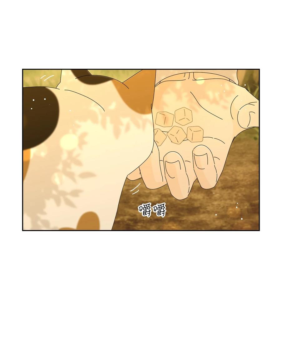 弄假成真07 我替你喂猫
