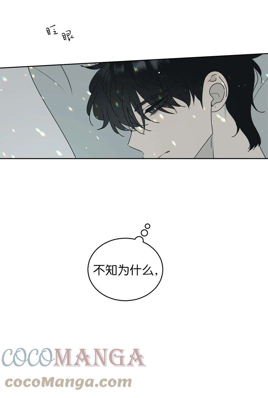 弄假成真48 逐光