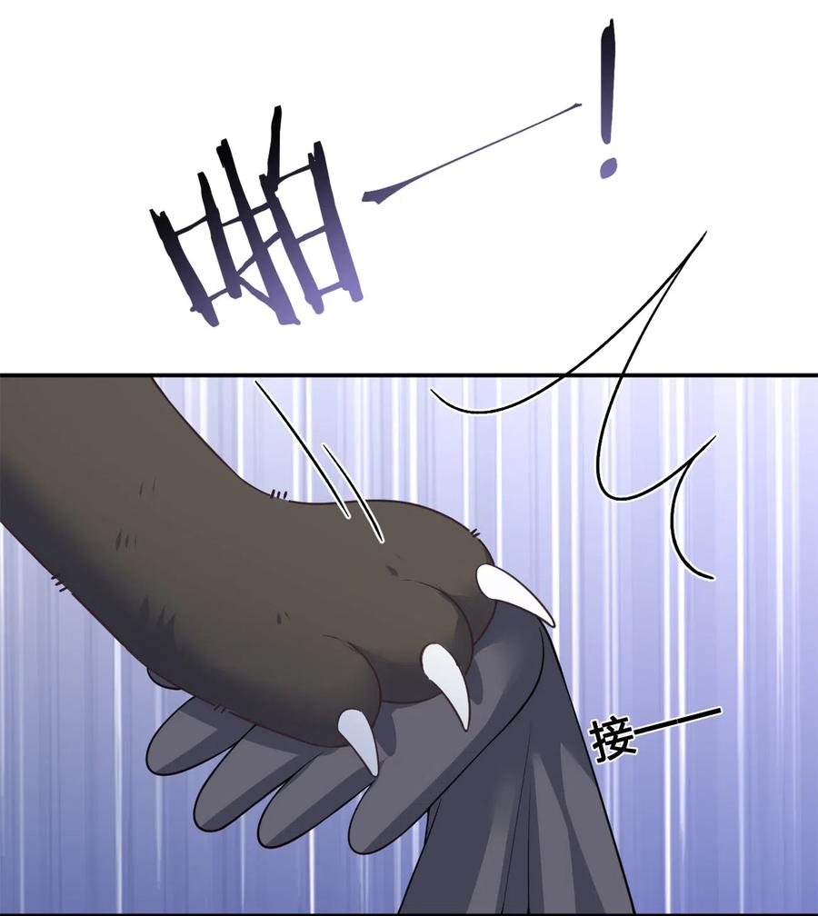 新手村村长004 划分区域