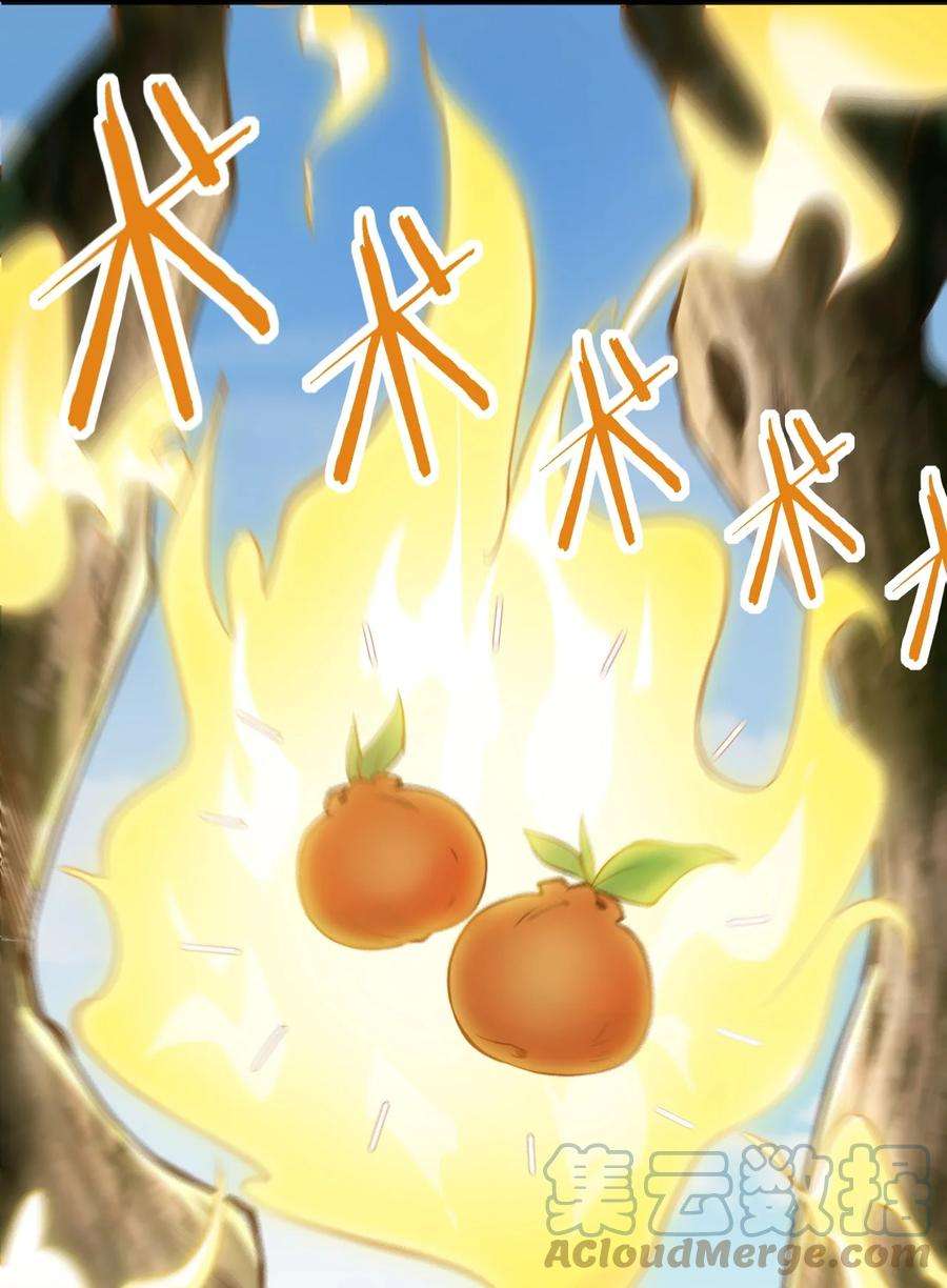 带着修真界仙子们天下无敌009 就这？！