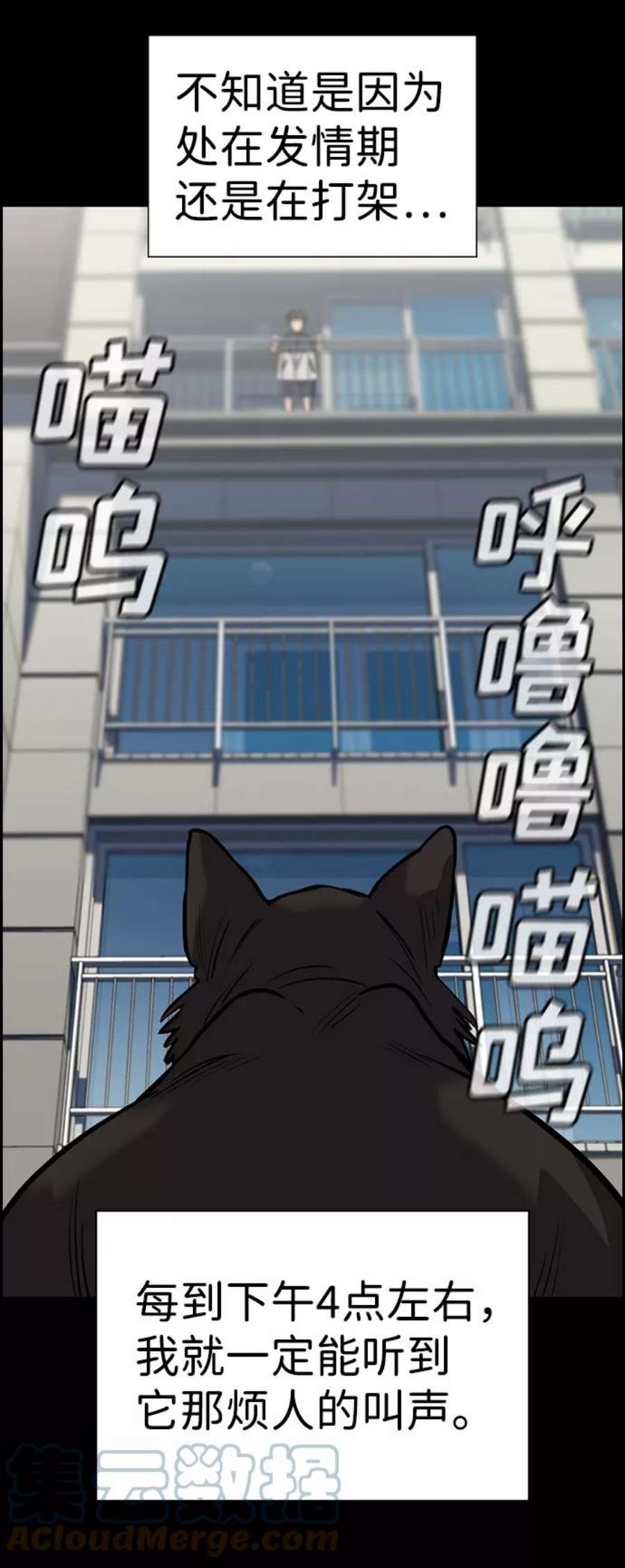 不良指导官33话