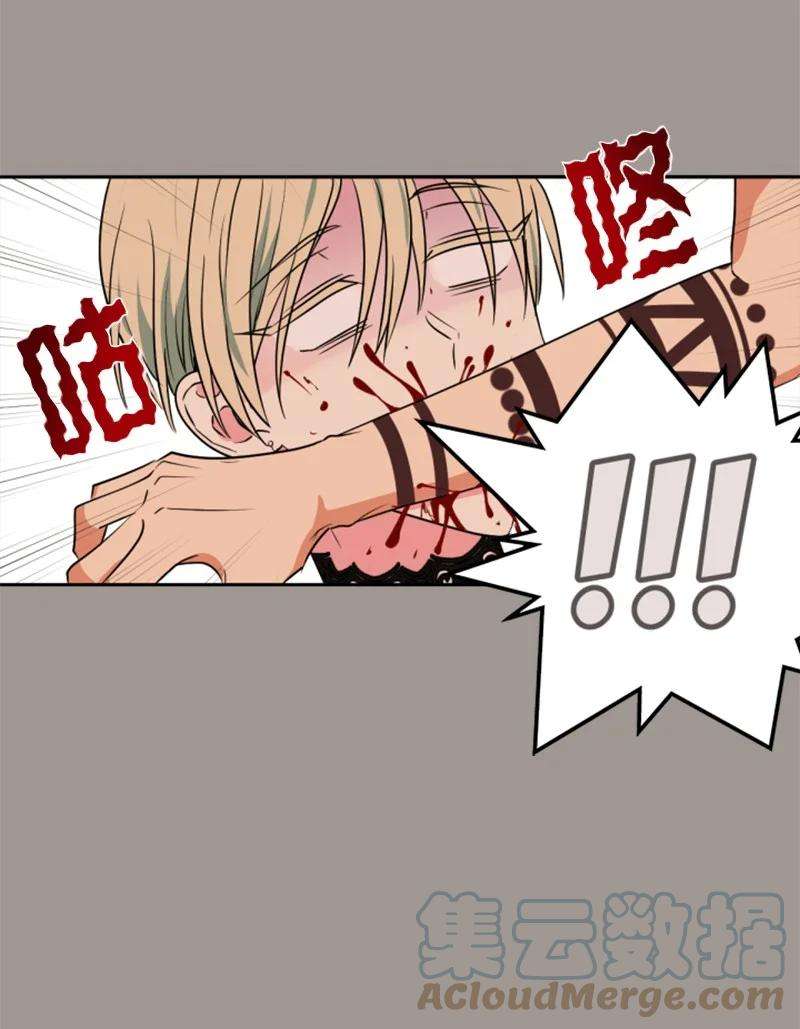 这个魔女白切黑25 前生往事