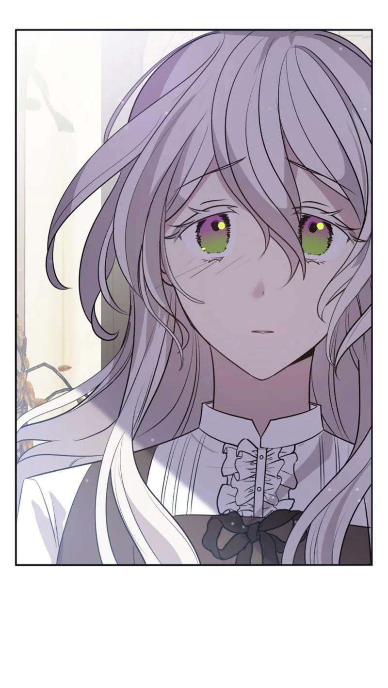 这个魔女白切黑26 来龙去脉