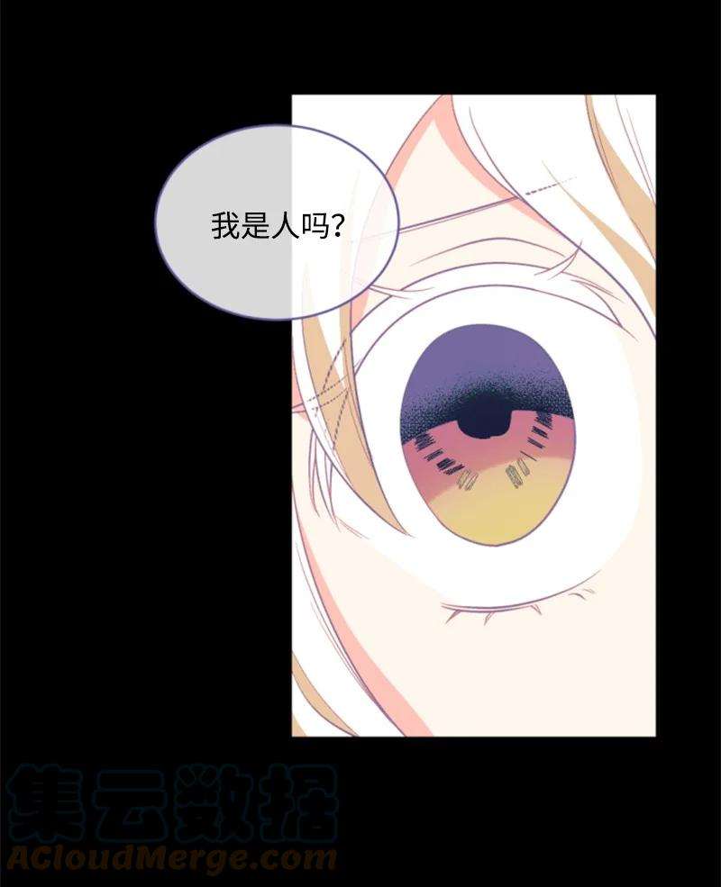 这个魔女白切黑50 愿望成真