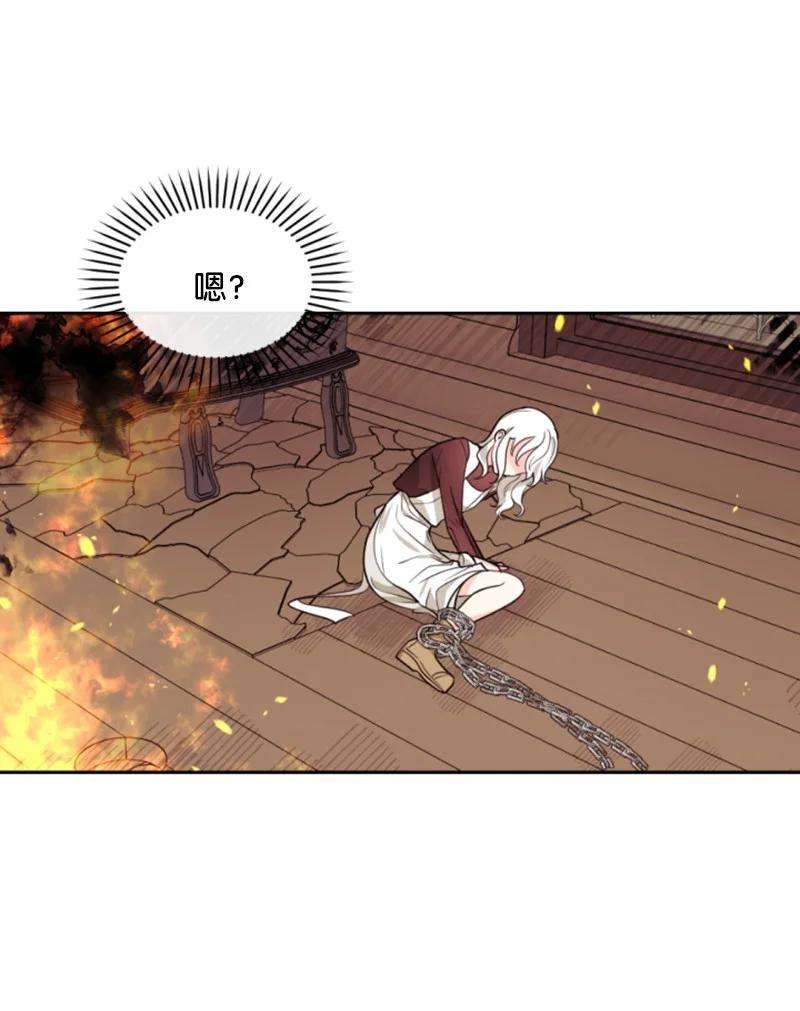 这个魔女白切黑50 愿望成真