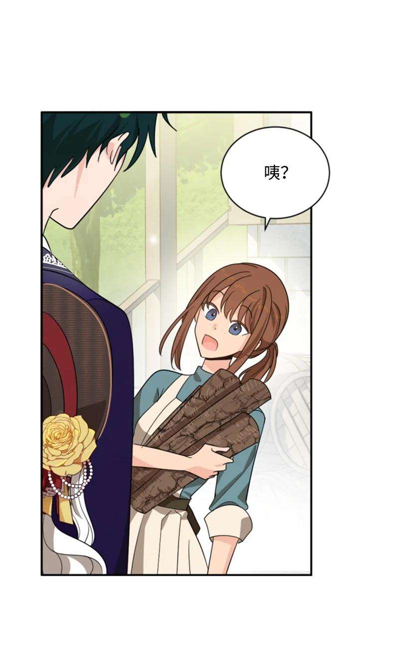 这个魔女白切黑59 再见索菲