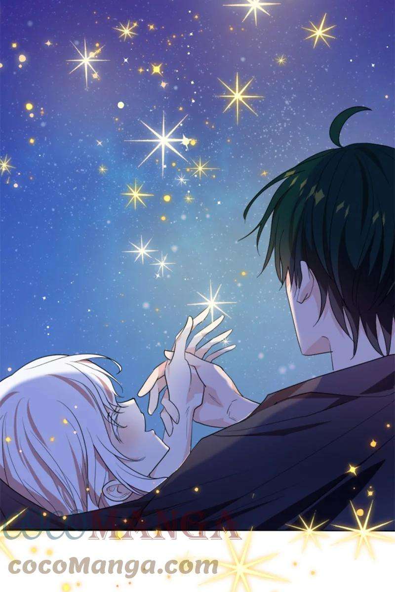 这个魔女白切黑66 凯特尔的过往