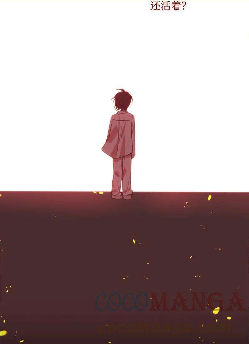 这个魔女白切黑66 凯特尔的过往