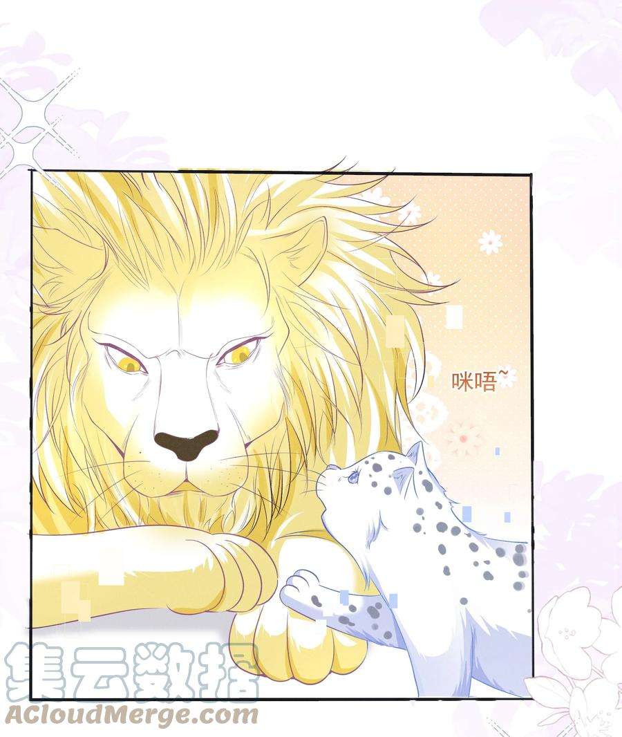 向导是不是重生的026 你是我唯一的药