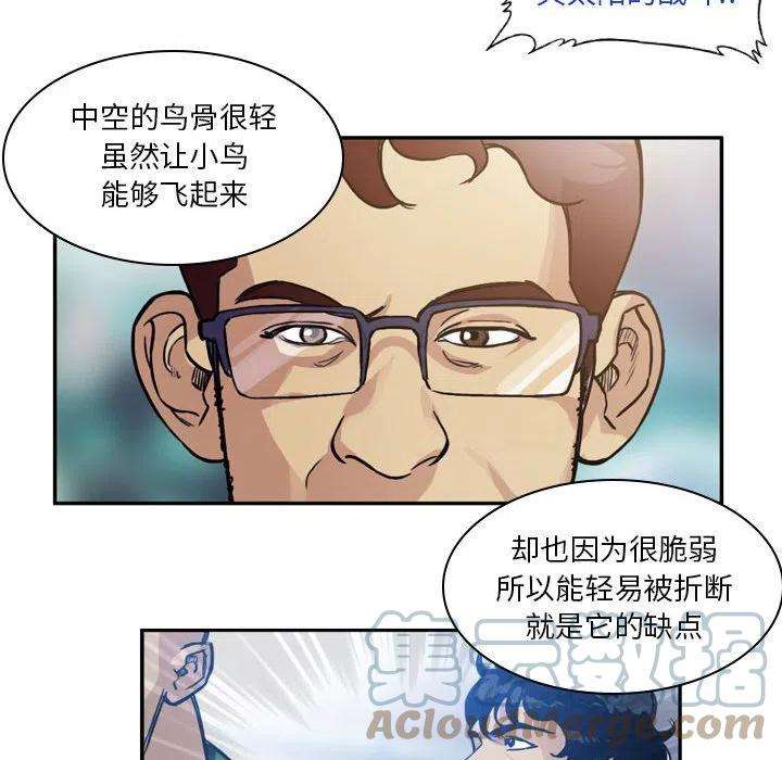 绿茵传奇-欧洲篇78