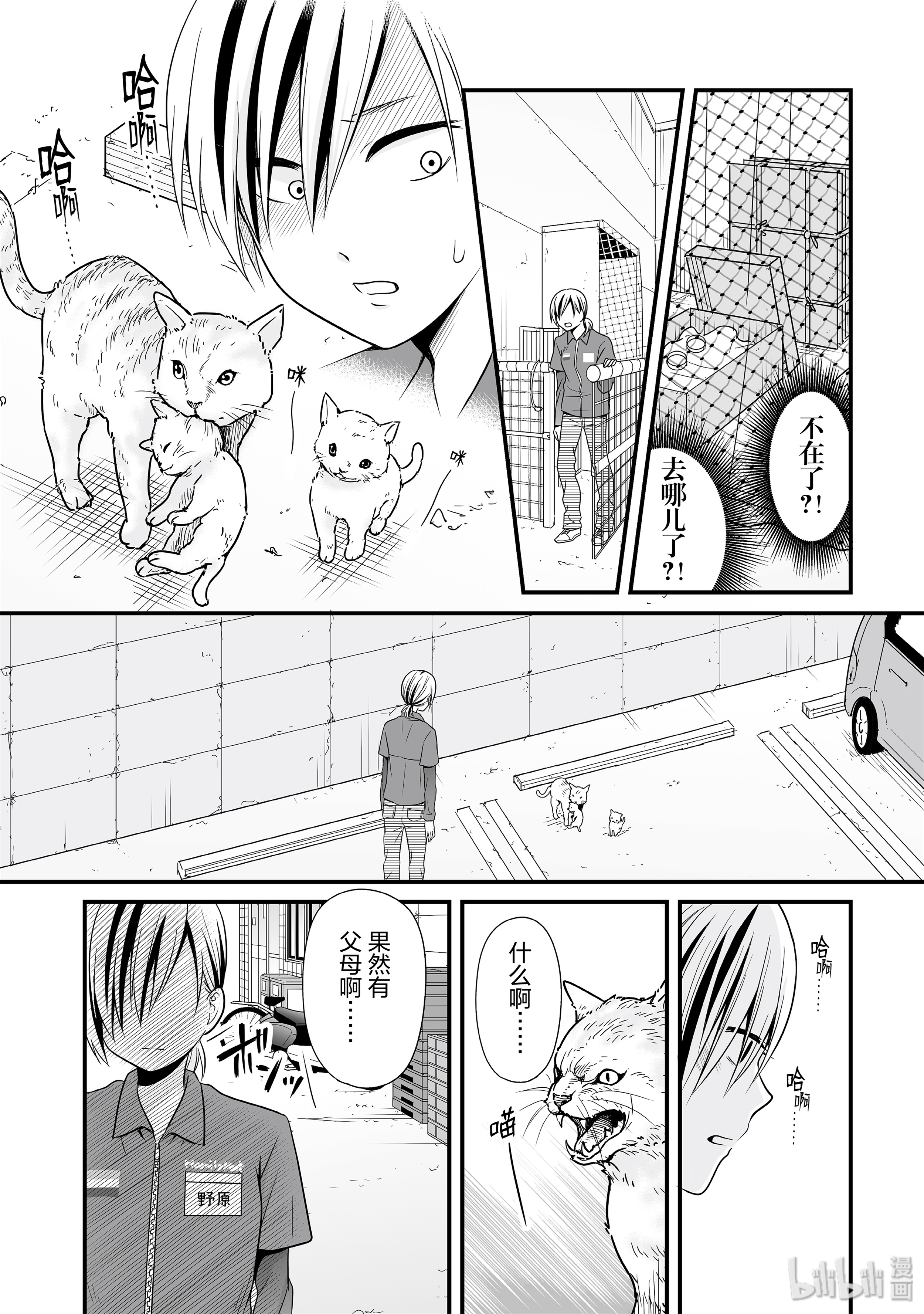 女高中生的虚度日常67 野猫