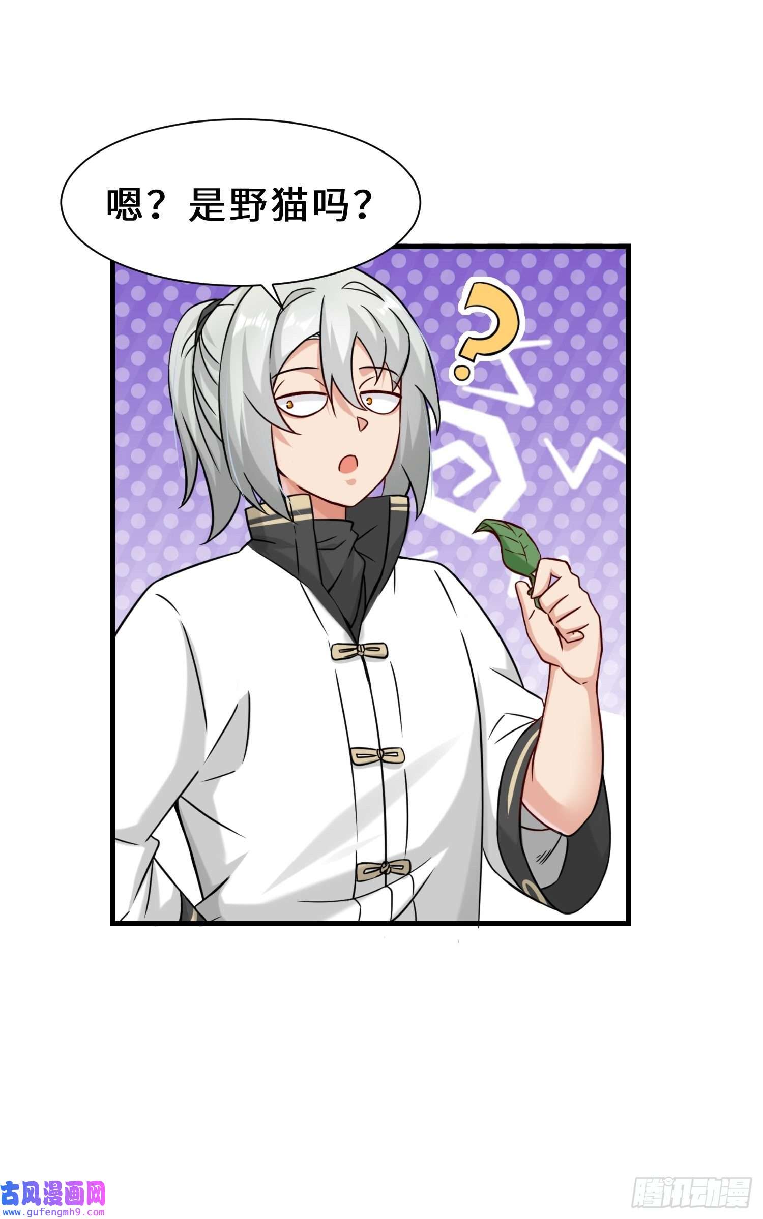 祖师出山第9话 野猫