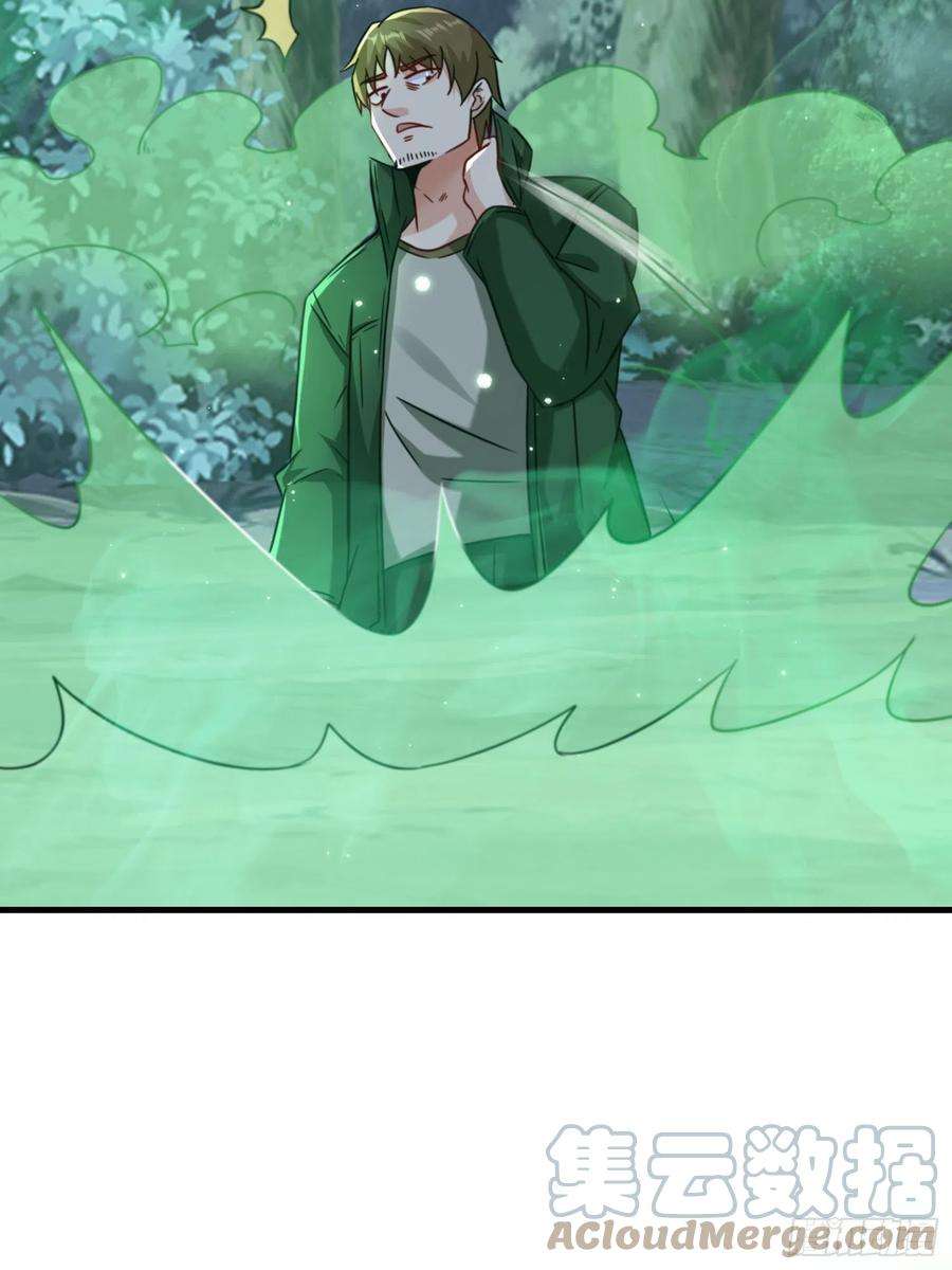 祖师出山9话 野猫