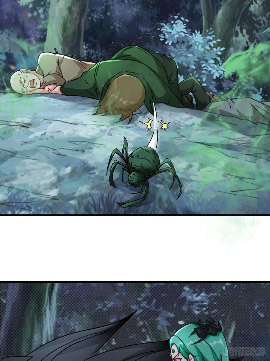 祖师出山9话 野猫