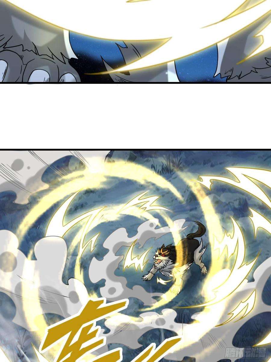 祖师出山9话 野猫