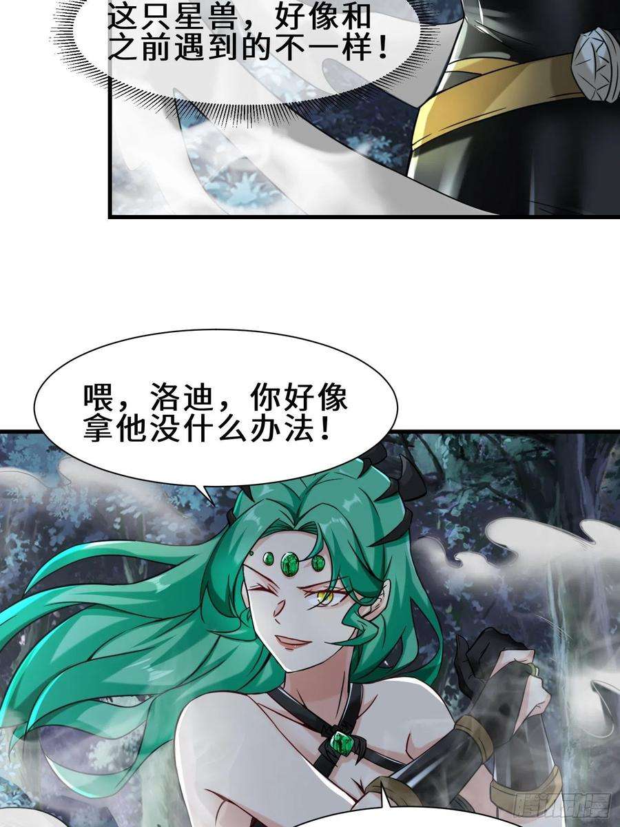 祖师出山9话 野猫