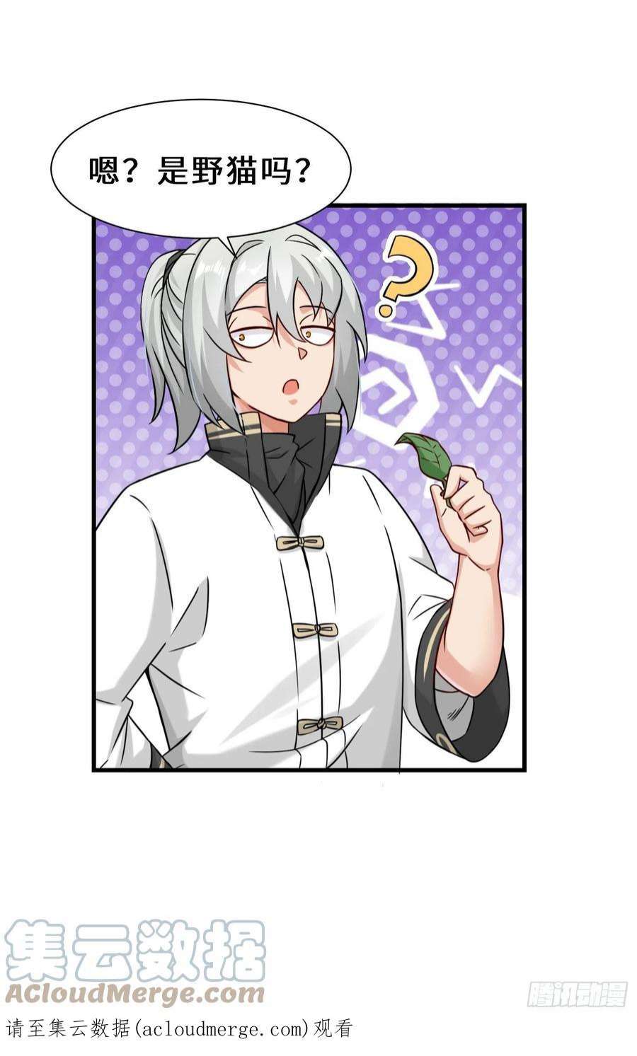 祖师出山9话 野猫