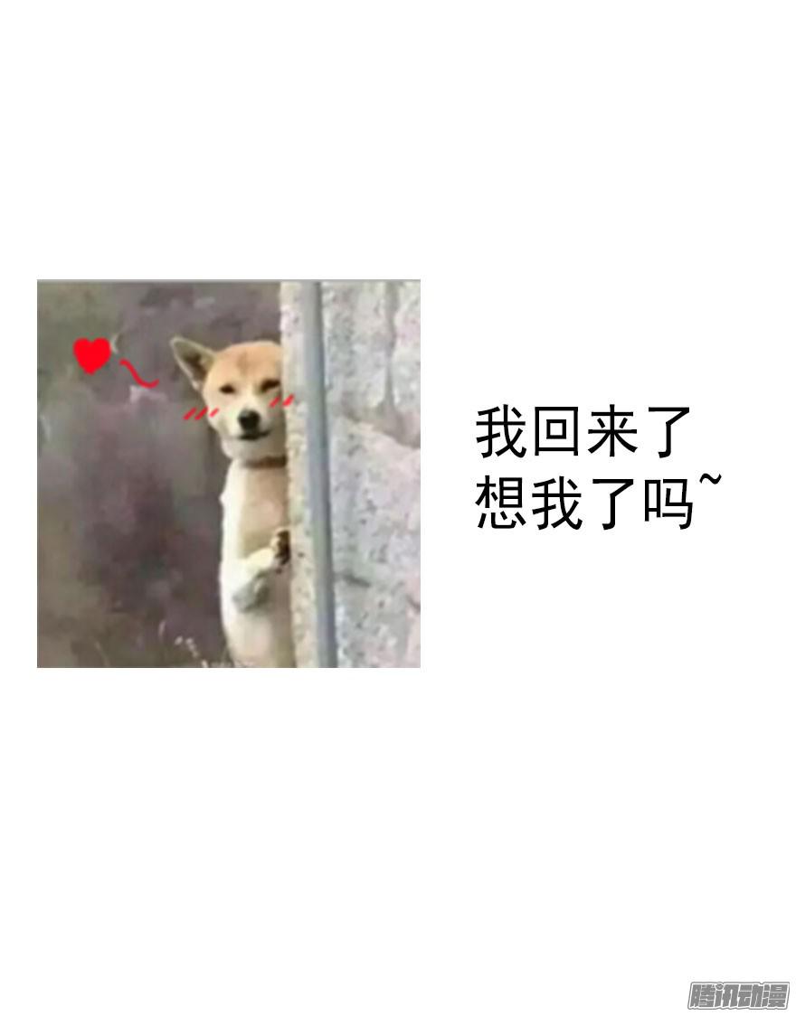 论恐女症的恋爱方法12.爱情是对等的