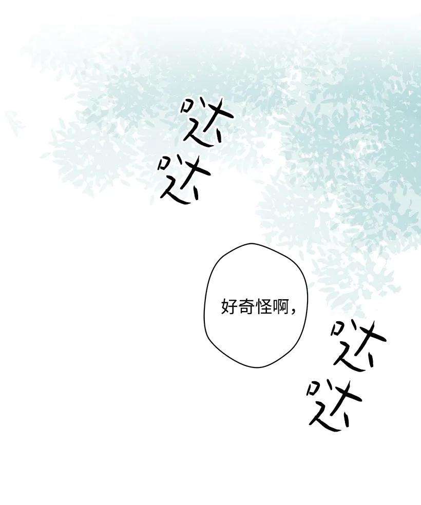 失落的公主12 陌生的岛