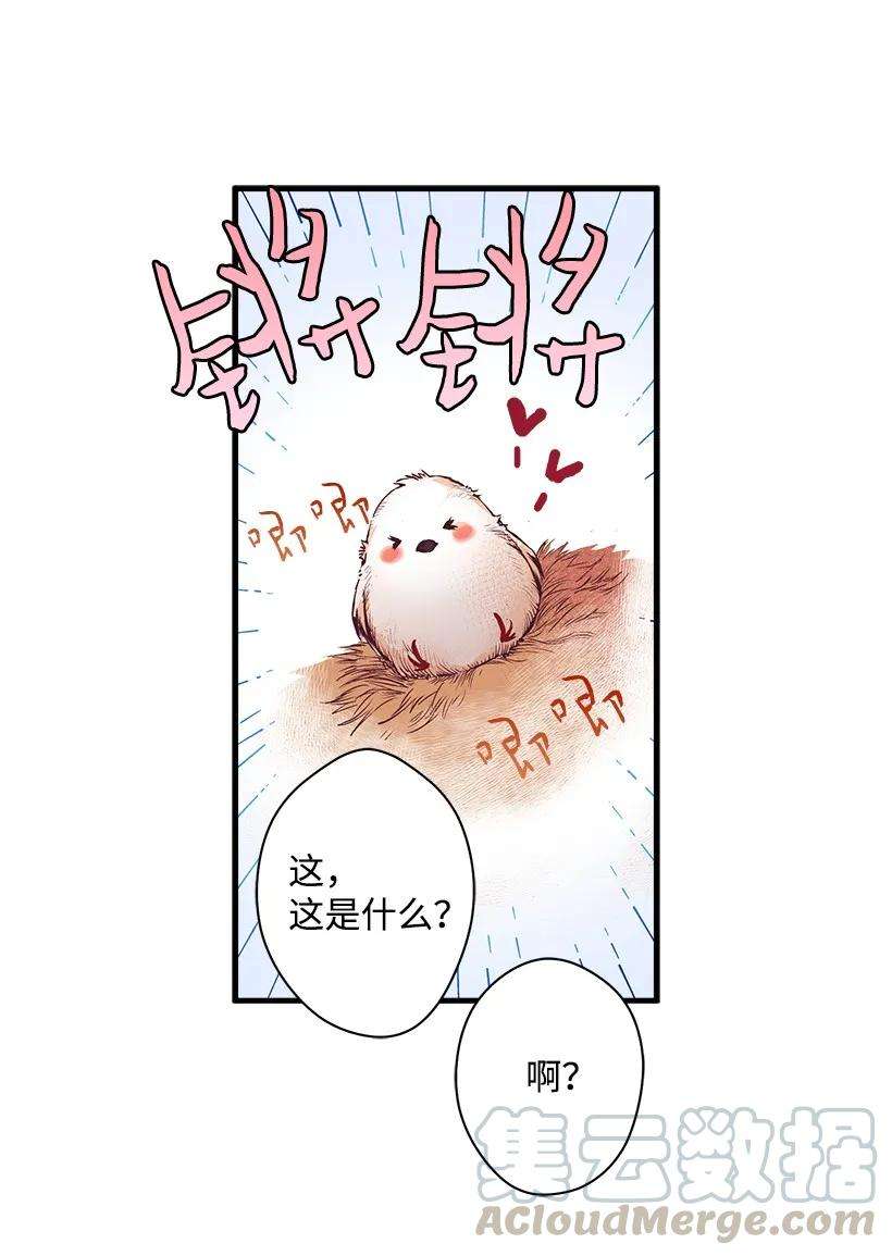 失落的公主12 陌生的岛