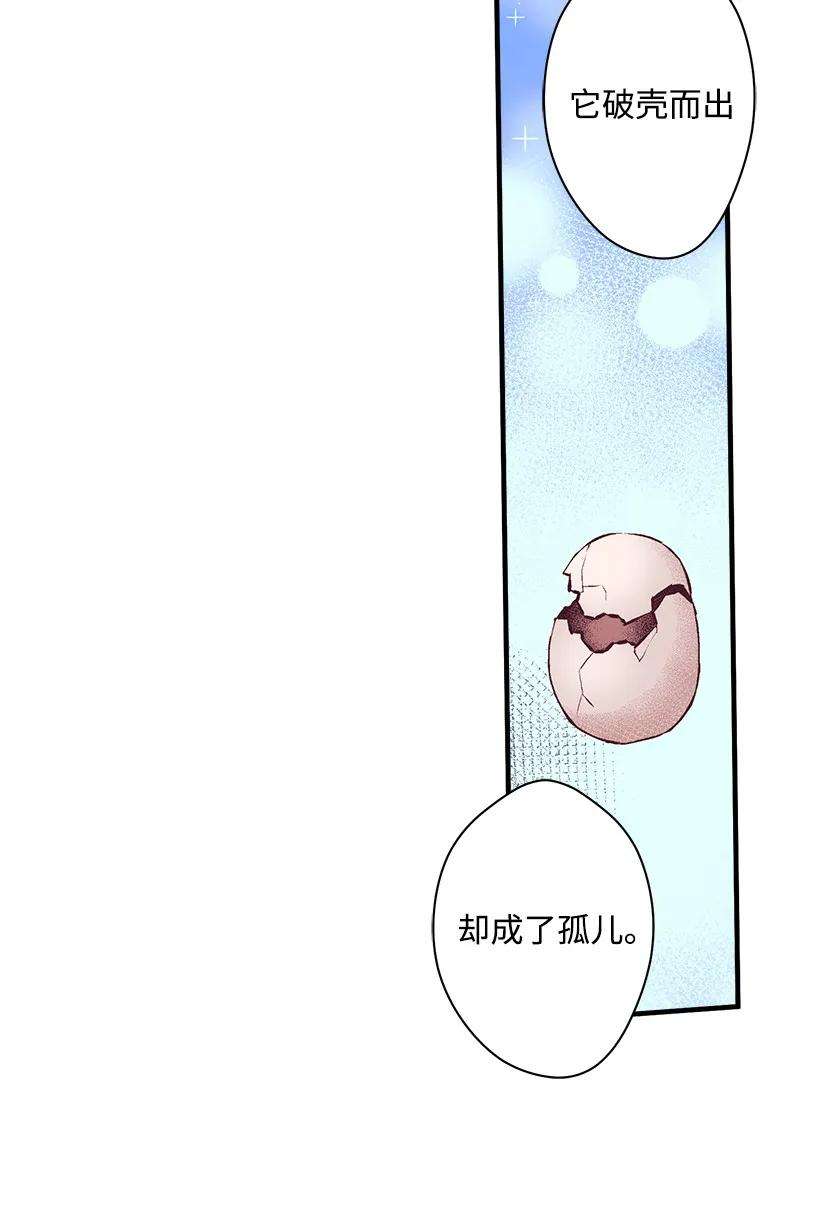 失落的公主13 岛上的生活