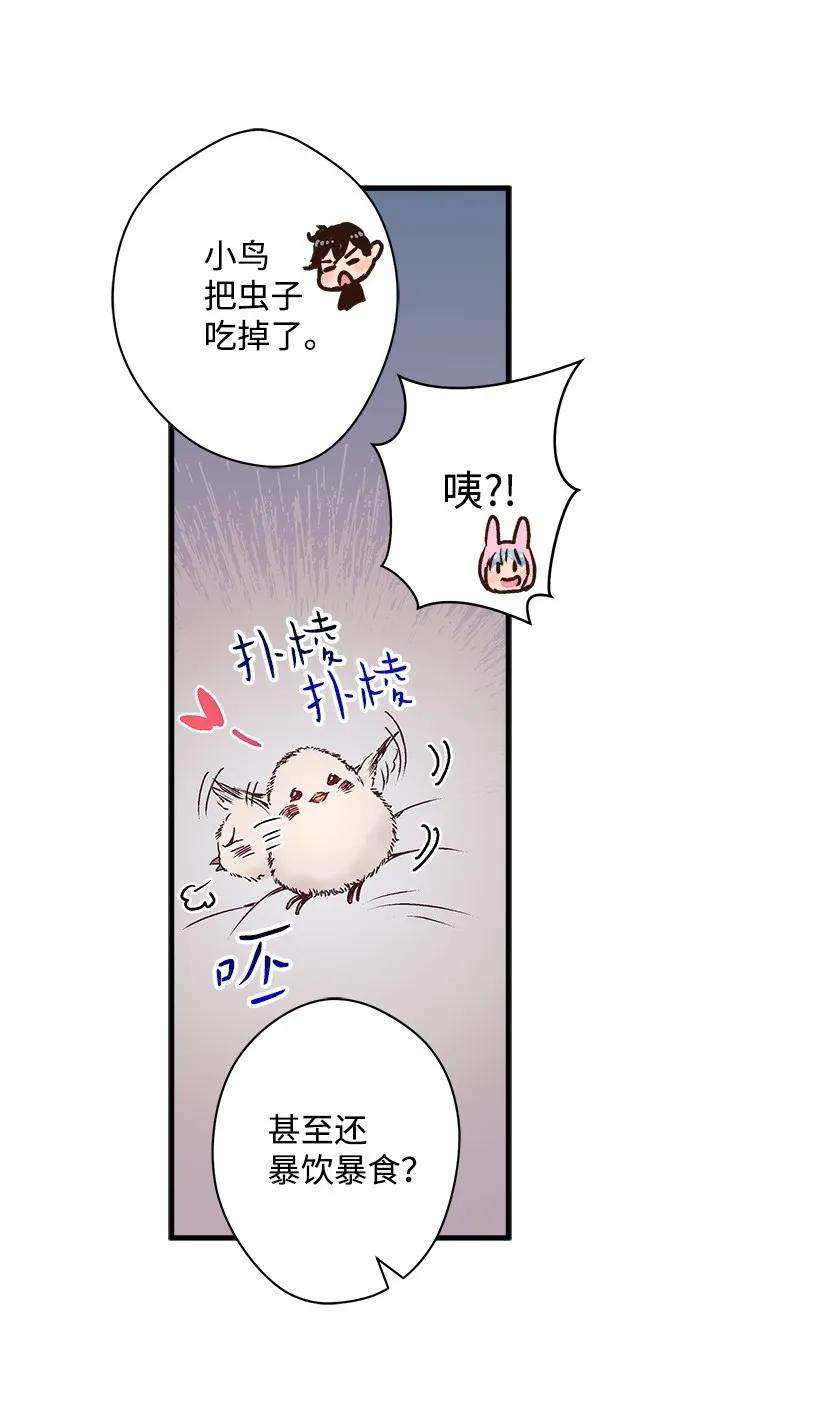 失落的公主18 黑色斑点