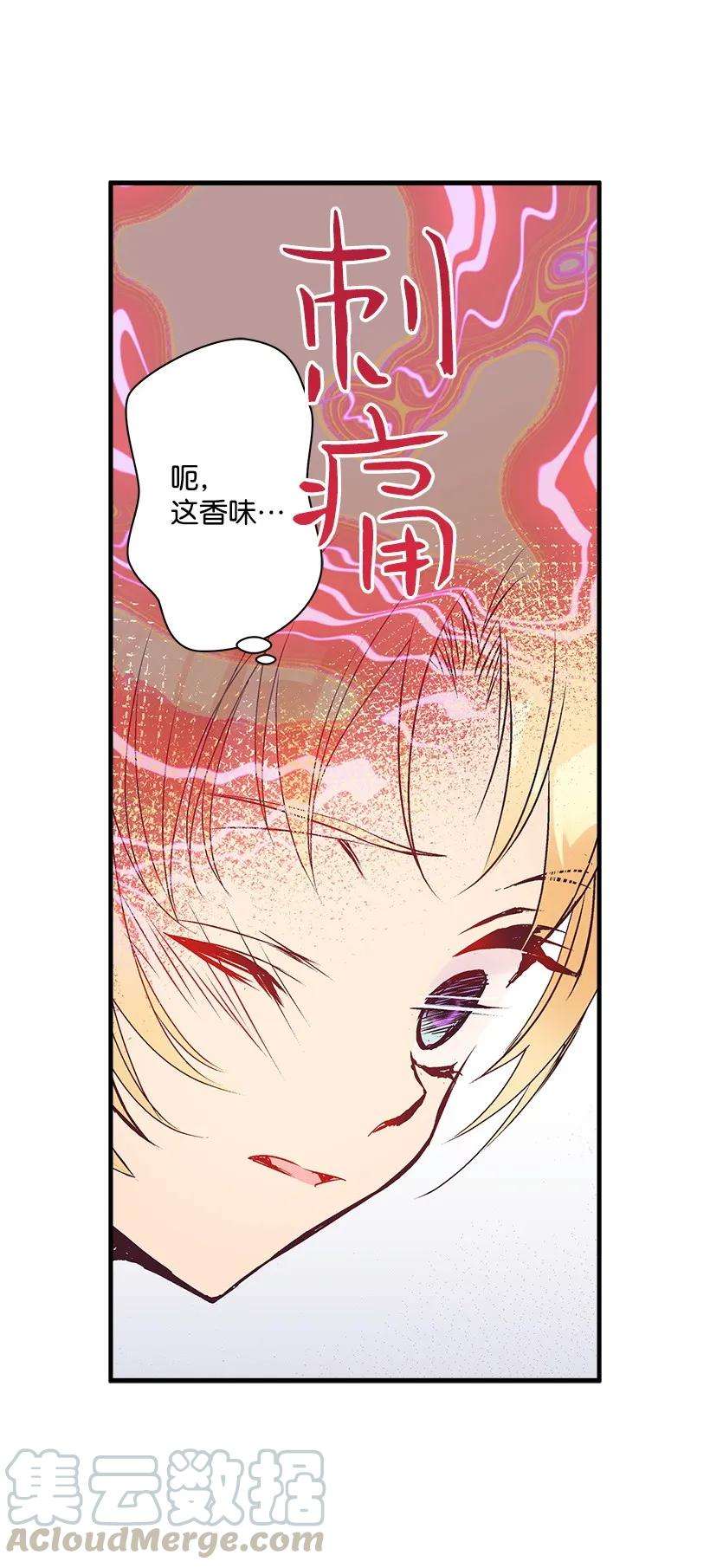 失落的公主22 花田