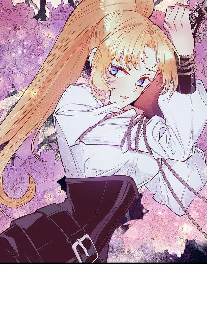 失落的公主40 并肩作战