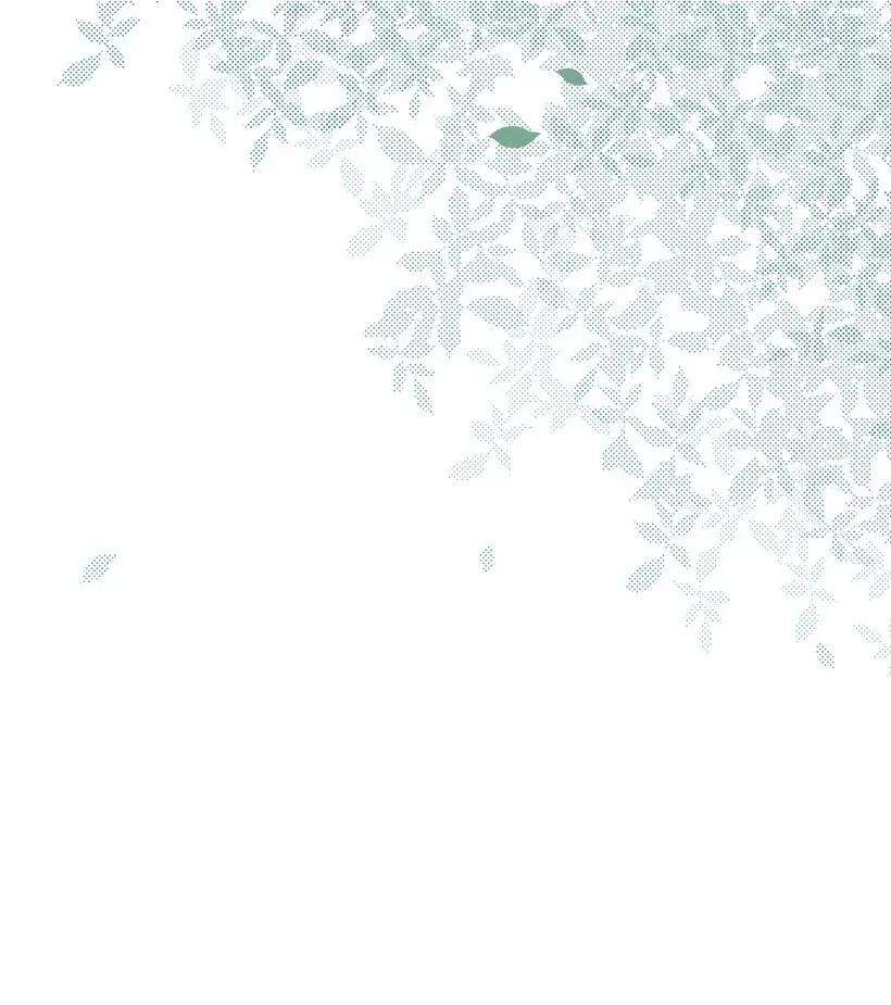 失落的公主42 解救