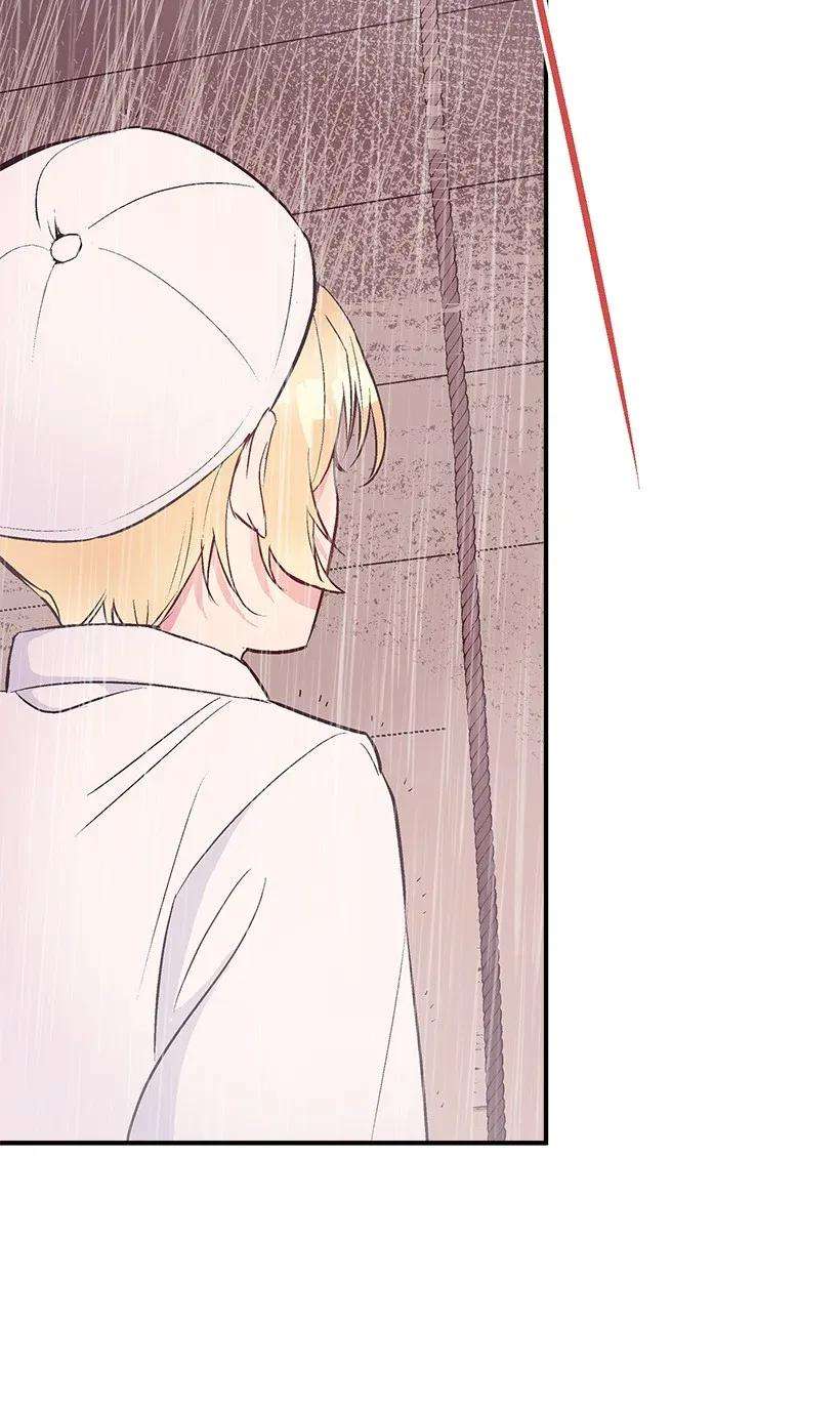 失落的公主44 维卡消失了