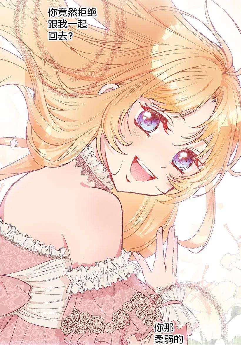 失落的公主56 分道扬镳