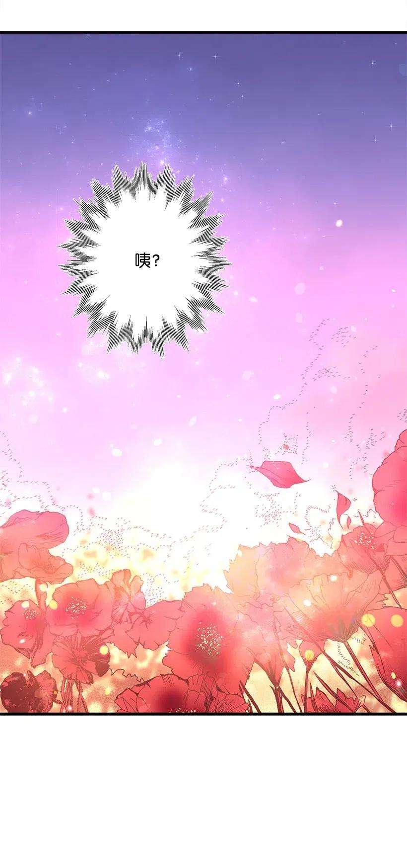 失落的公主57 罂粟花田