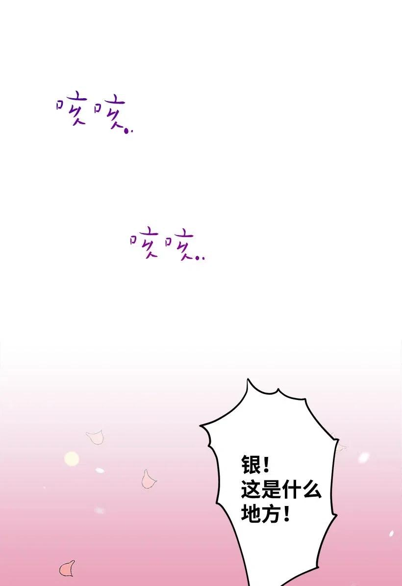 失落的公主57 罂粟花田