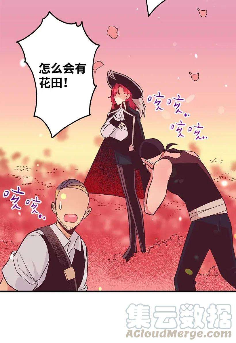 失落的公主57 罂粟花田