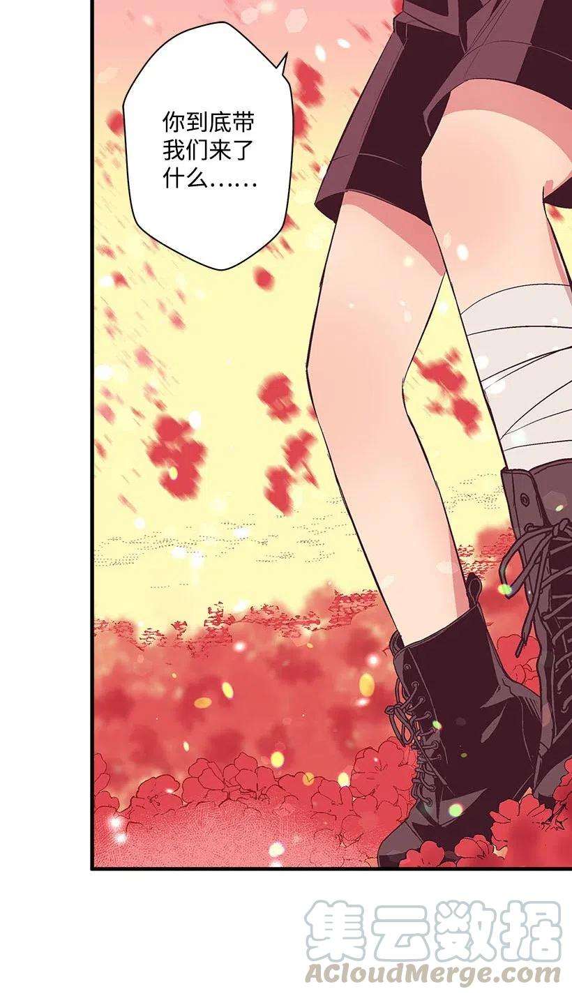 失落的公主57 罂粟花田