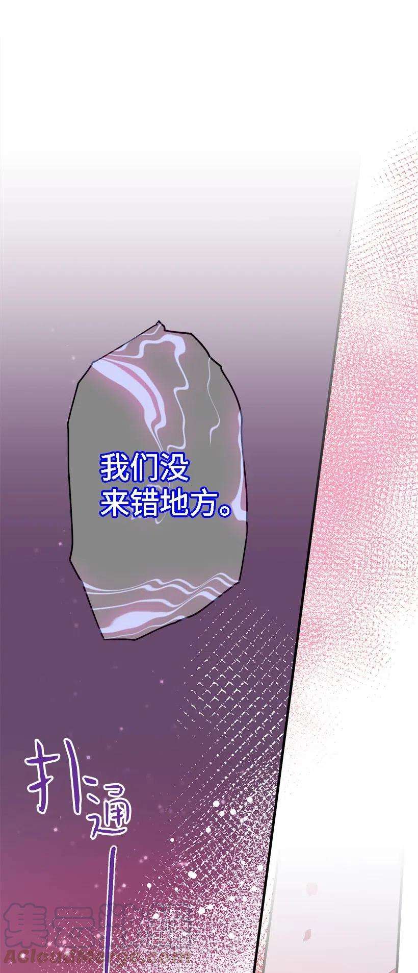 失落的公主57 罂粟花田