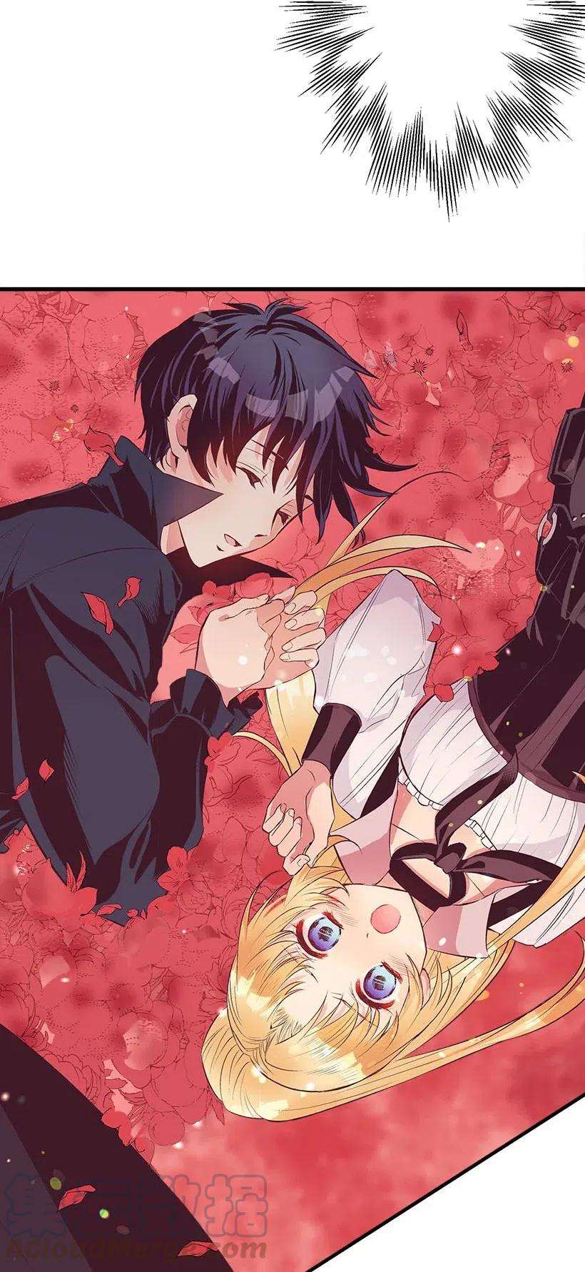 失落的公主57 罂粟花田