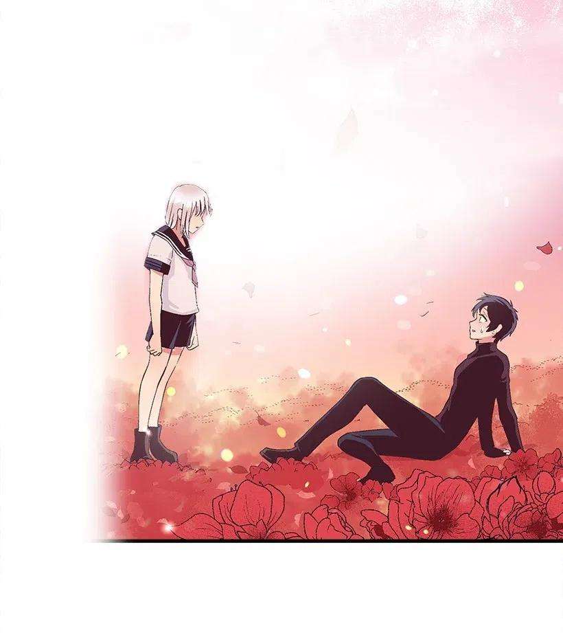 失落的公主57 罂粟花田