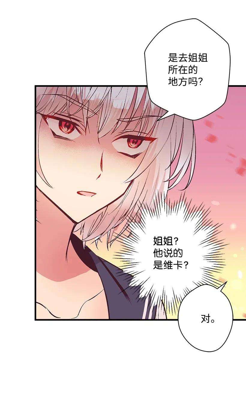 失落的公主57 罂粟花田