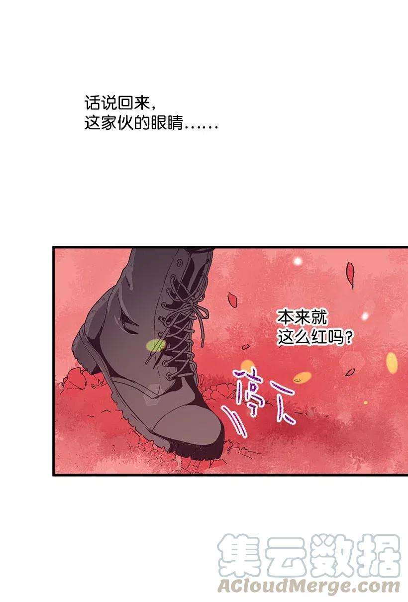 失落的公主57 罂粟花田