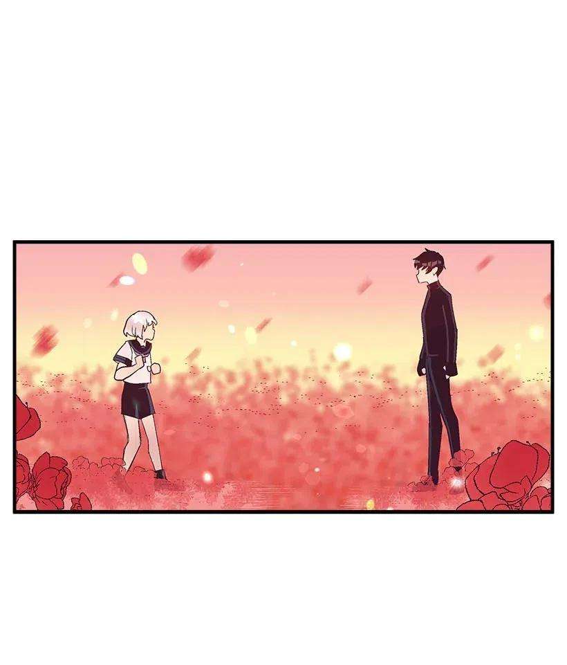 失落的公主57 罂粟花田