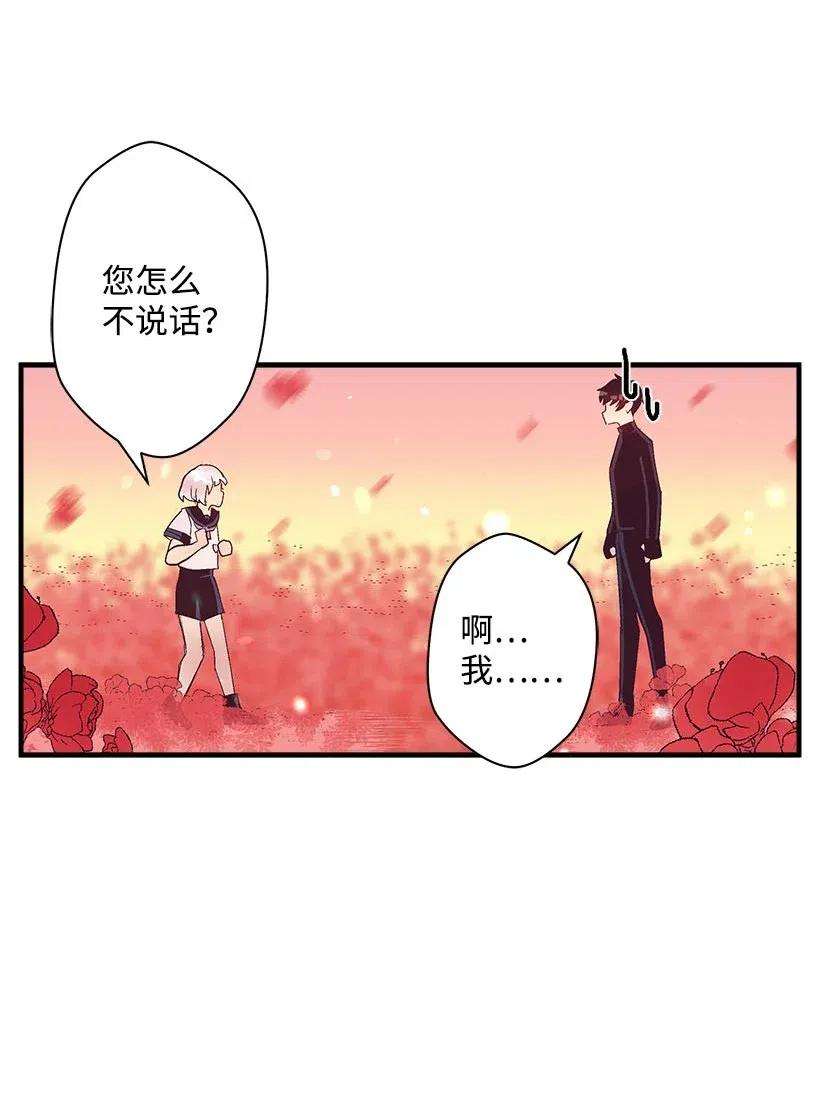 失落的公主57 罂粟花田