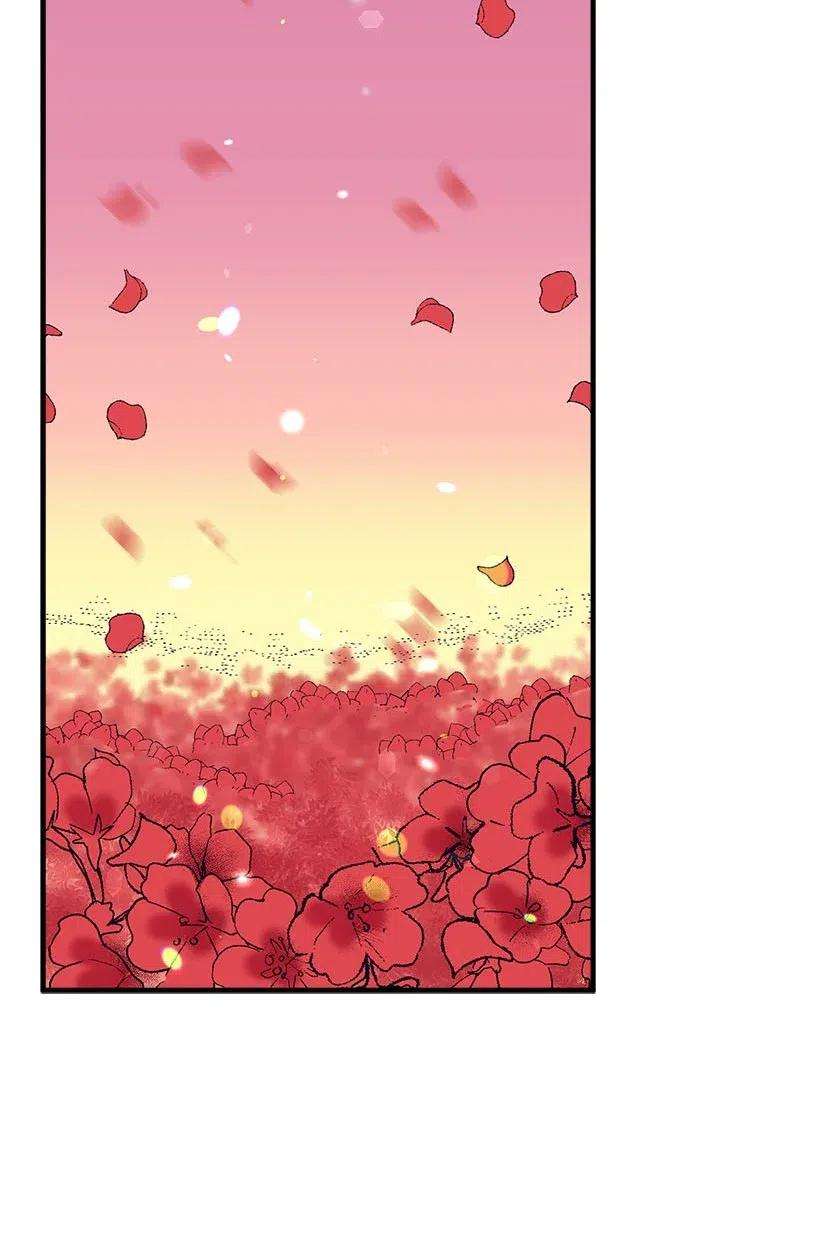 失落的公主57 罂粟花田