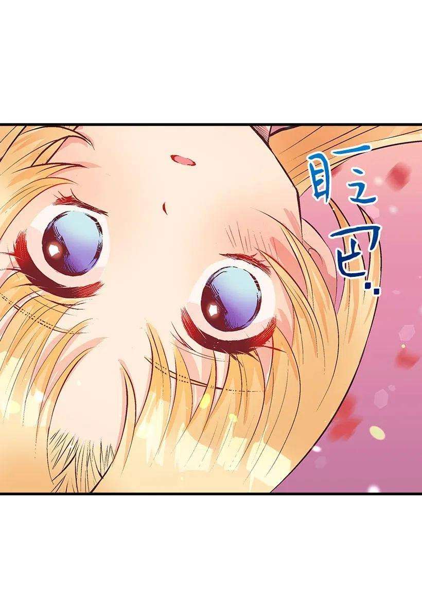 失落的公主57 罂粟花田