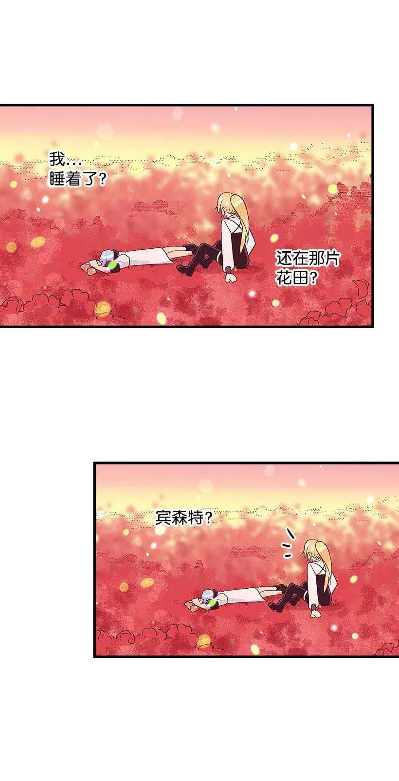 失落的公主57 罂粟花田