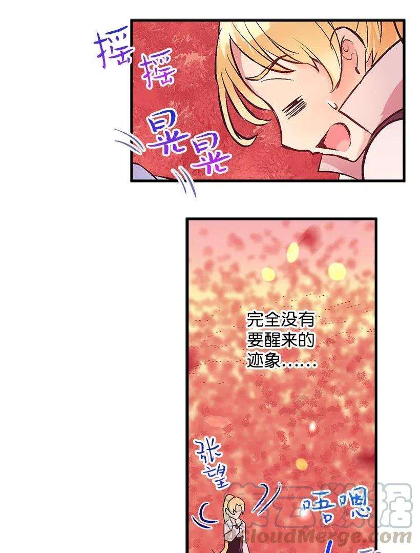 失落的公主57 罂粟花田