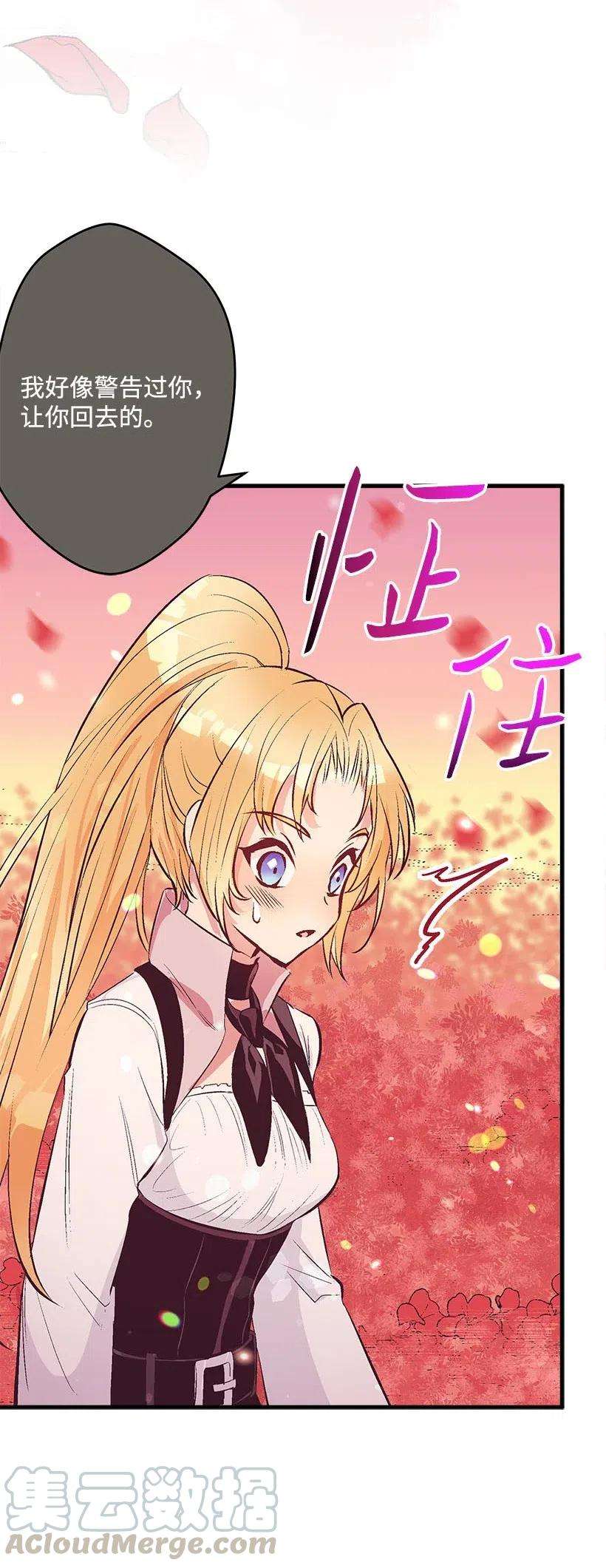 失落的公主57 罂粟花田