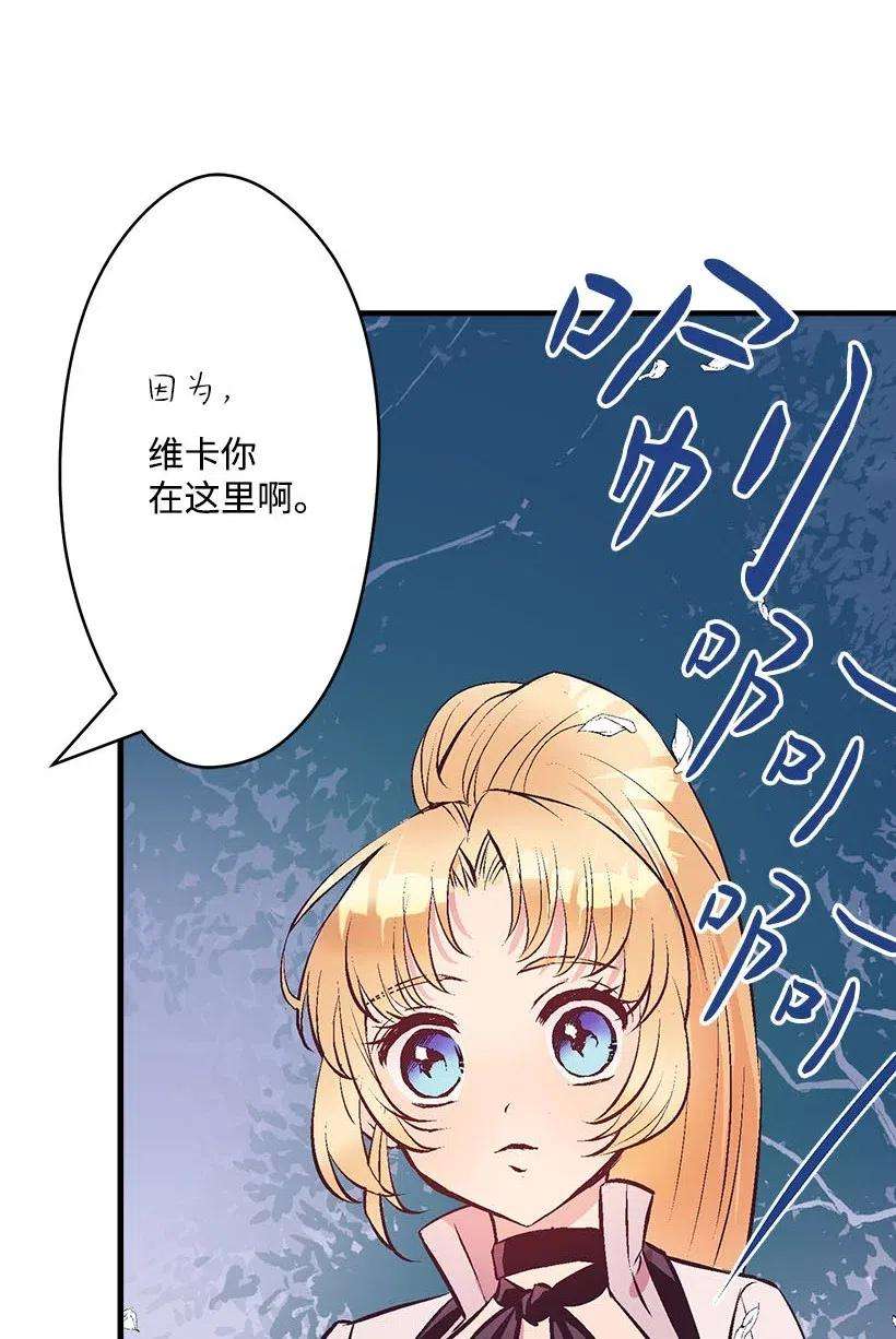 失落的公主57 罂粟花田