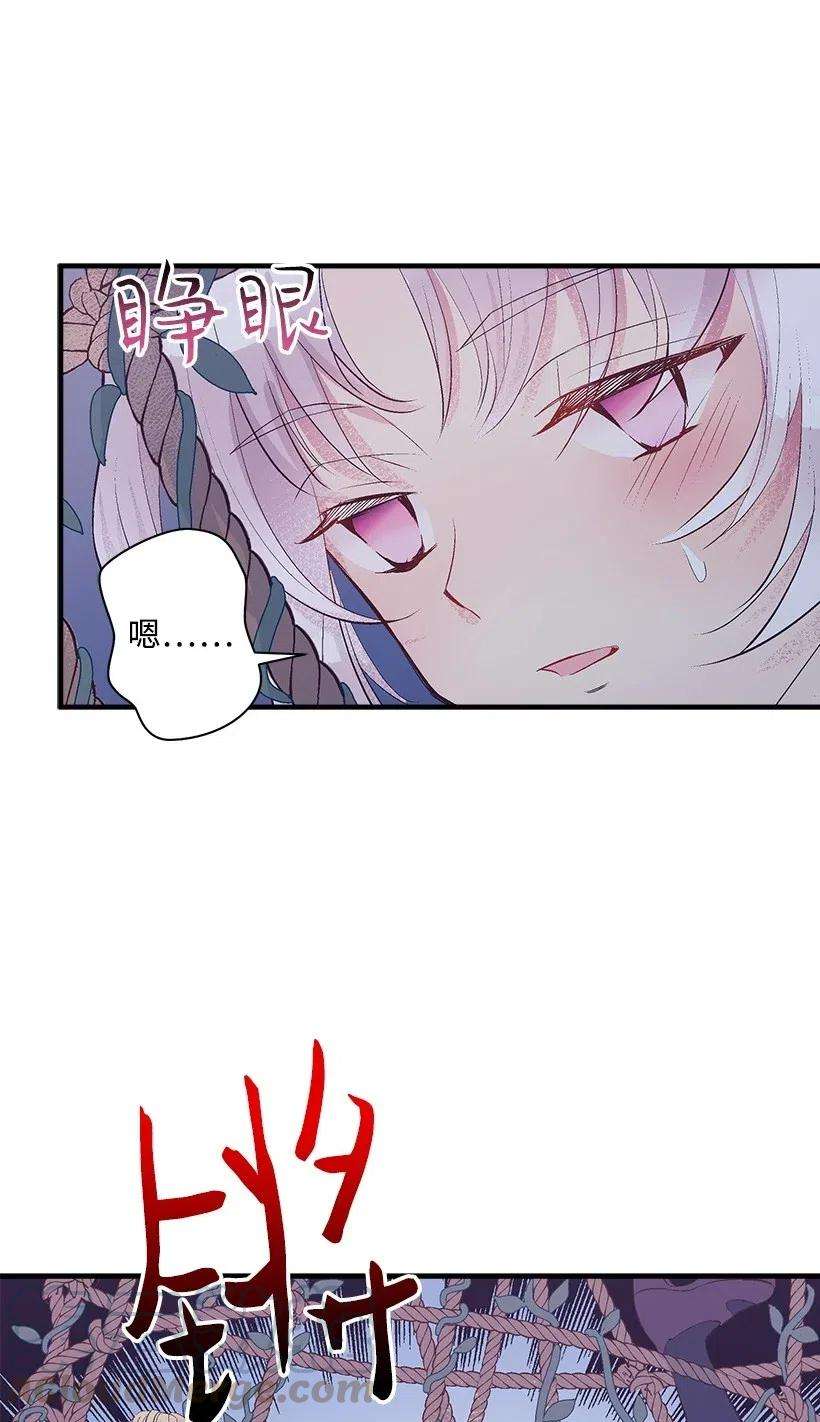 失落的公主61 壁画